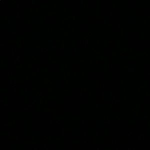 Meet your Posher, Jillian